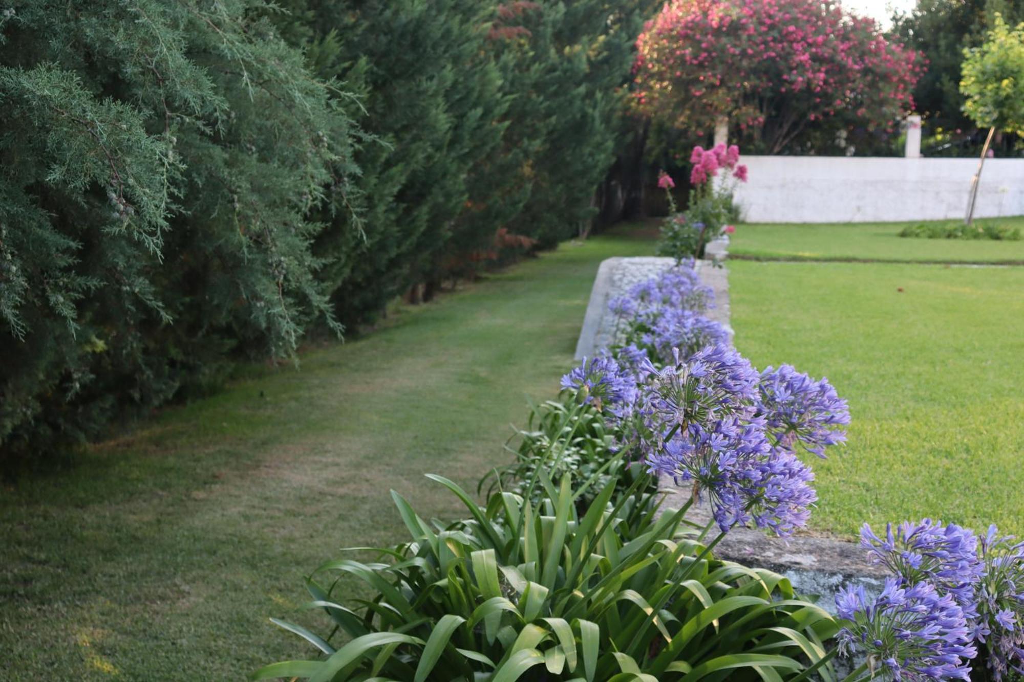 Quinta Do Regalo Villa Coimbra Buitenkant foto